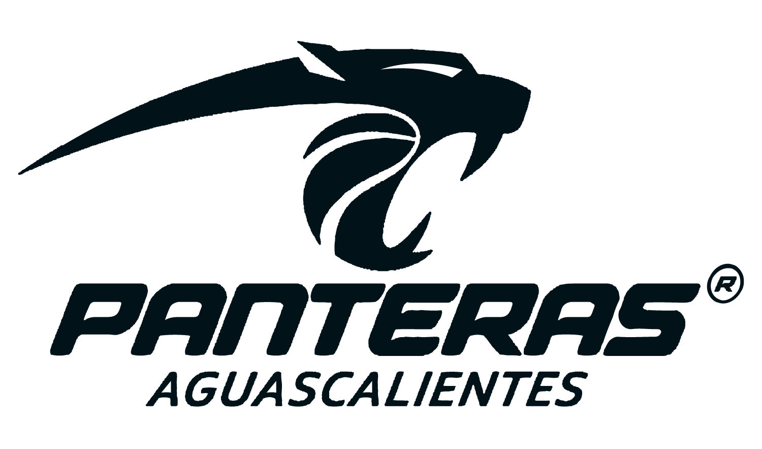 https://www.lnbp.mx/Panteras/